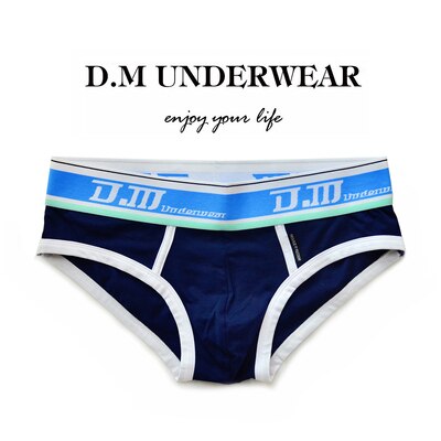 New Style  Hot Sale Fashion Briefs